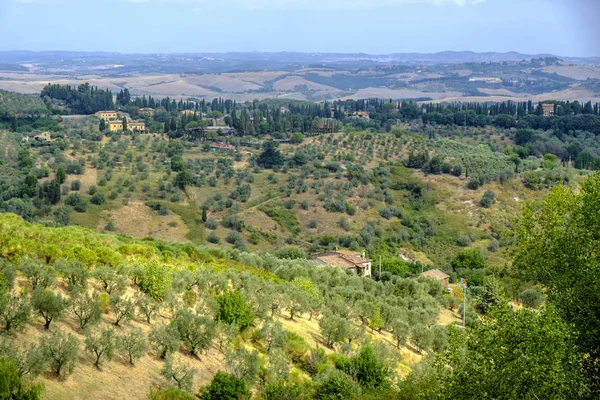 Sommerlandschaft in der Nähe von Volterra, Toskana — Stockfoto