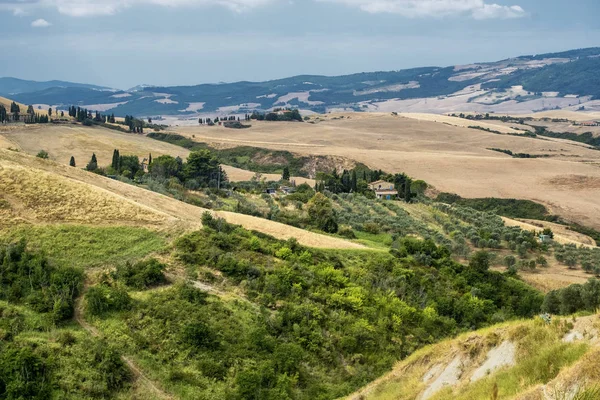 Volterra, Toskana yakınındaki yaz manzara — Stok fotoğraf