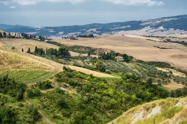 Sommerlandschaft in der Nähe von Volterra, Toskana — Stockfoto