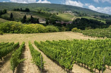 San Gimignano (Toskonya manzara)