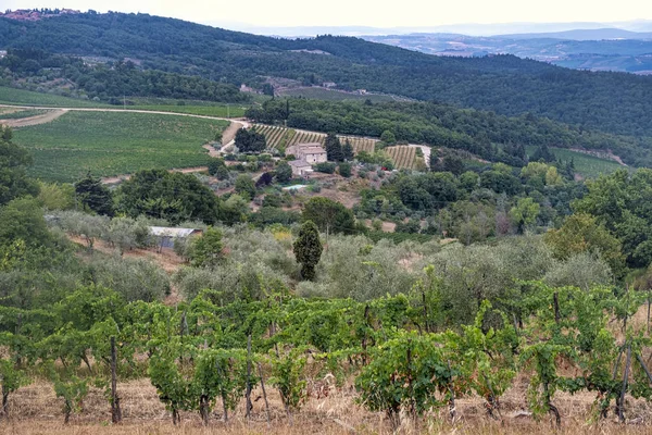 Zomer landschap in de Chianti-streek (Toscane) — Stockfoto