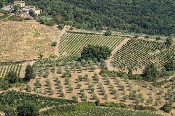 Summer landscape in the Chianti region (Tuscany) — Stock Photo, Image