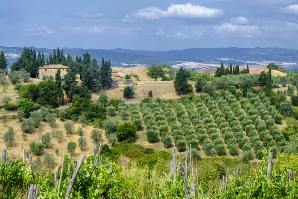 Sommarlandskap nära Volterra, Toscana — Stockfoto