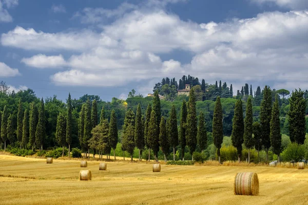 Letní krajina u Volterra, Toskánsko — Stock fotografie