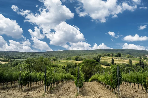 Landscape near San Gimignano (Tuscany) — Stock Photo, Image