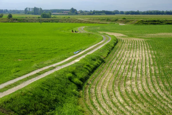 Rural landscape along the Po cycle path — Stock Photo, Image