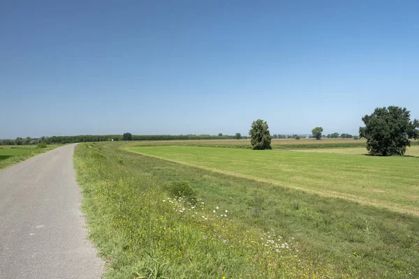 Paysage rural le long de la piste cyclable du Pô — Photo