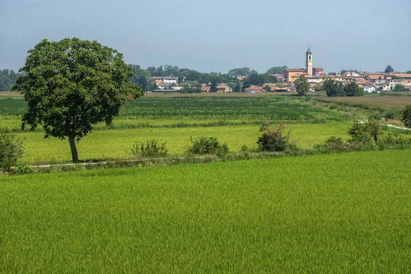 Po döngüsü yol boyunca kırsal manzara — Stok fotoğraf