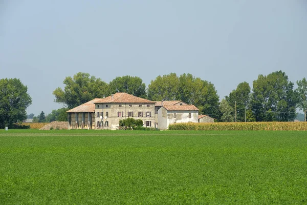 意大利 Fidenza 附近的乡村景观 — 图库照片