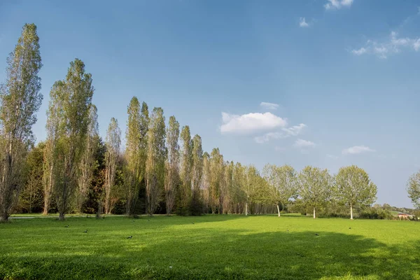 Parco Nord in Milan at fall — Stock Photo, Image