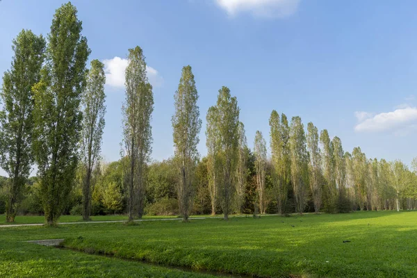 Parco Nord in Milan at fall — Stock Photo, Image