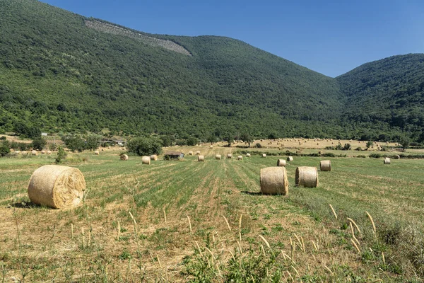 Paisaje rural cerca de Priverno, Lazio —  Fotos de Stock