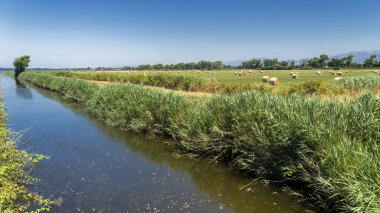 Agro Pontino, Lazio, İtalya 'da kırsal alan