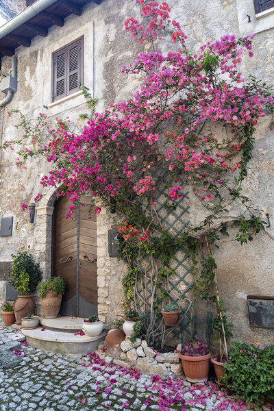 Sermoneta, Latina, Lazio, Italy: typical street of the historic town. Old house with flowered plant