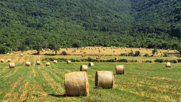 Rural landscape near Priverno, Lazio — Stock Photo, Image