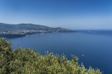 Deniz Vico Malzemeleri, Napoli
