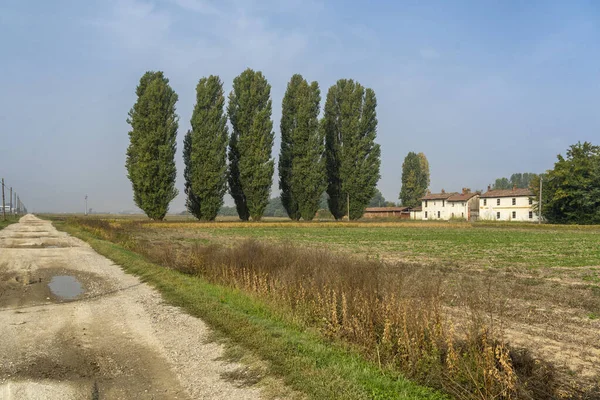 Paisaje rural cerca de Belgioioso, Pavía, Italia —  Fotos de Stock