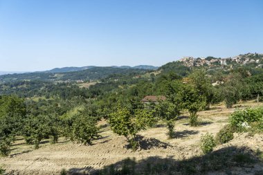 Güney İtalya, Irpinia 'da yaz manzarası. Altavilla Irpina