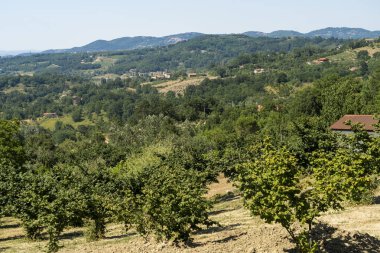 Güney İtalya, Irpinia 'da yaz manzarası. Altavilla Irpina