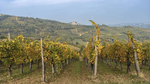 Oltrepo Pavese szőlőültetvények, Olaszország, ősszel — Stock Fotó