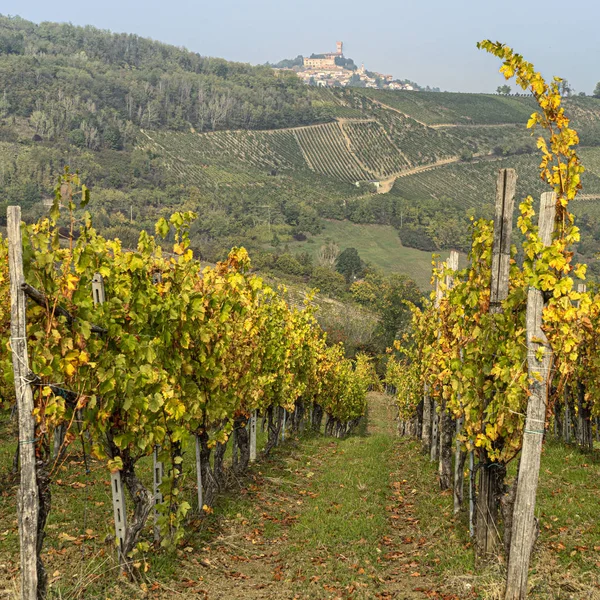 Vinice Oltrepo Pavese, Itálie, na podzim — Stock fotografie