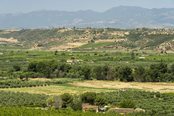 Sommerlandschaft in Kalabrien, Italien, in der Nähe von spezzano albanese — Stockfoto