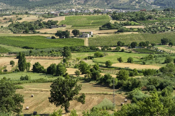 イタリアのカラブリア州の夏の風景、 Castrovillari近く — ストック写真