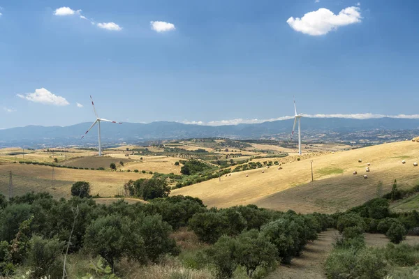 Summer landscape in Calabria, Italy, near Spezzano Albanese — Stock Photo, Image