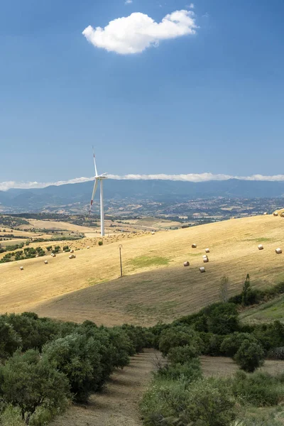 Летний пейзаж в Калабрии, Италия, рядом со Спеццано-Албанезе — стоковое фото