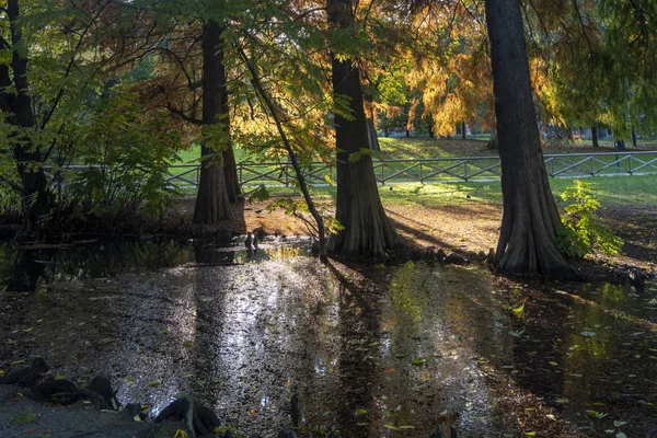 Mediolan, park Sempione w listopadzie — Zdjęcie stockowe