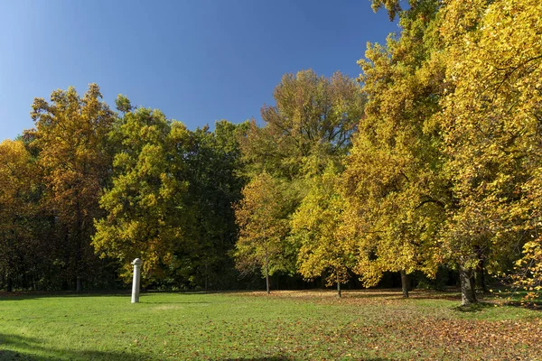 Foliage at fall in the Monza Park — Stock Photo, Image