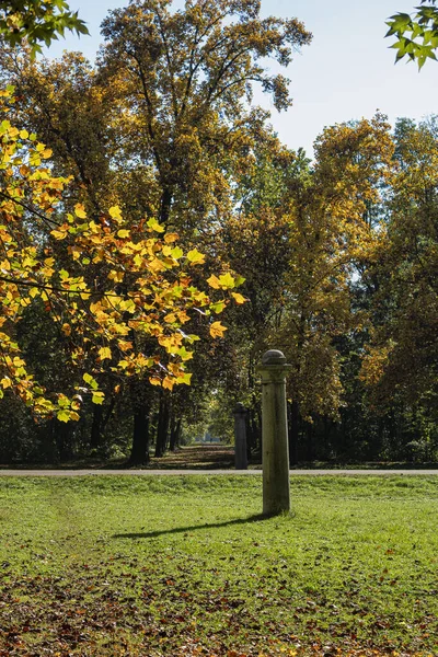 Foliage at fall in the Monza Park — Stock Photo, Image