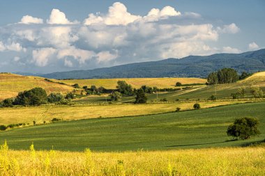 Camigliatello, Sila yolu boyunca yaz manzarası