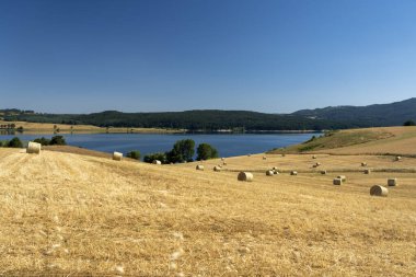 Camigliatello, Sila yolu boyunca yaz manzarası. Cecita!