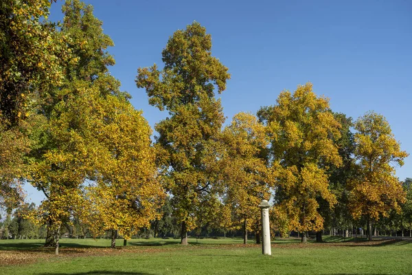 Fogliame in autunno nel Parco di Monza — Foto Stock