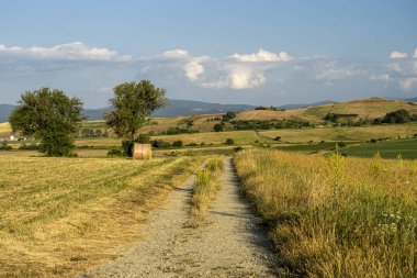 Summer landscape along the road to Camigliatello, Sila clipart