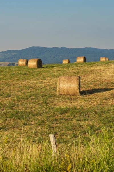 Paisaje de verano a lo largo del camino a Camigliatello, Sila —  Fotos de Stock