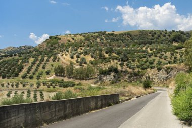 İtalya, Calabria 'da yaz manzarası, Tarsia yakınlarında.
