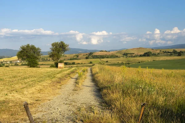 Paisaje de verano a lo largo del camino a Camigliatello, Sila — Foto de Stock