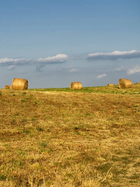 Summer landscape along the road to Camigliatello, Sila — Stock Photo, Image