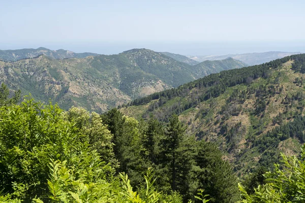 Longobucco yakınlarındaki Sila doğal parkındaki dağ manzarası — Stok fotoğraf