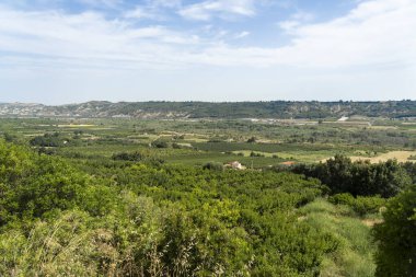 Rural landscape near Policoro, Basilicata
