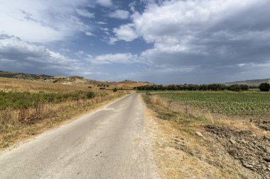 Yazın Matera eyaletinde kırsal alan