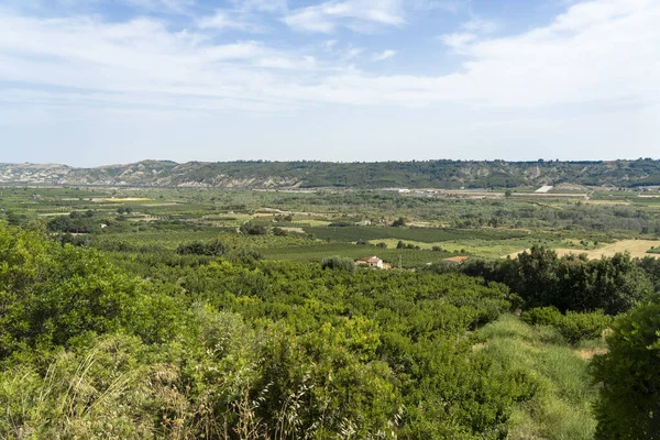 Krajobraz wiejski w pobliżu Policoro, Basilicata — Zdjęcie stockowe