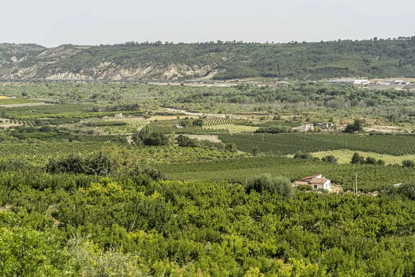 Krajobraz wiejski w pobliżu Policoro, Basilicata — Zdjęcie stockowe