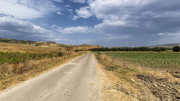 Ländliche Landschaft in der Provinz Matera im Sommer — Stockfoto