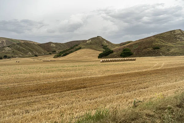 Paisaje rural en la provincia de Matera en verano —  Fotos de Stock