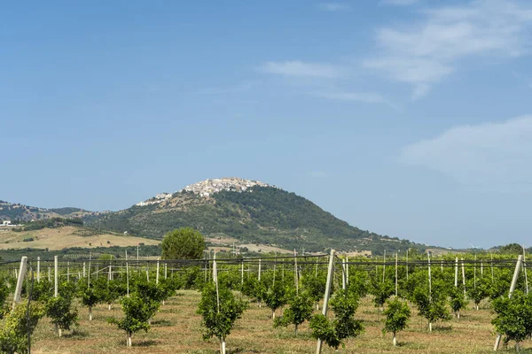 View of Rotondella, Basilicata, Italy — Stockfoto