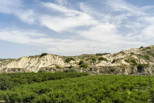 Landelijk landschap bij Policoro, Basilicata — Stockfoto