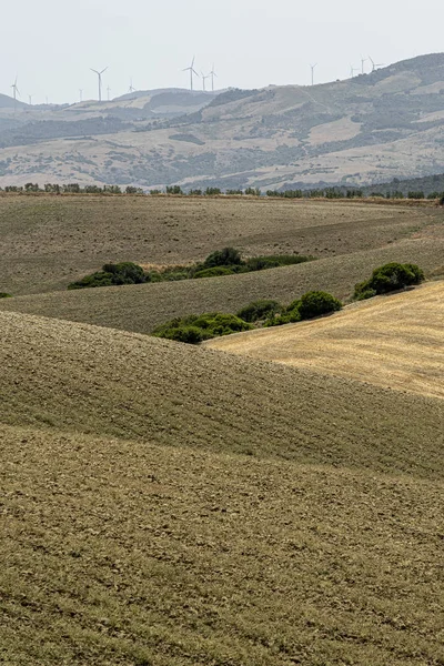 Rural landscape in Matera province at summer — Stock Photo, Image